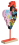 kogut-rozowy-ogon-1.png